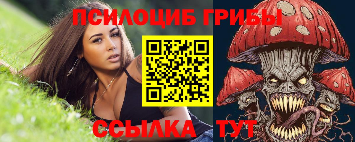Псилоцибиновые грибы Psilocybe Карпинск